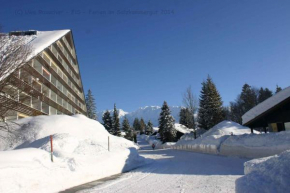 Apartment in Sonnenalm - Salzkammergut 37018